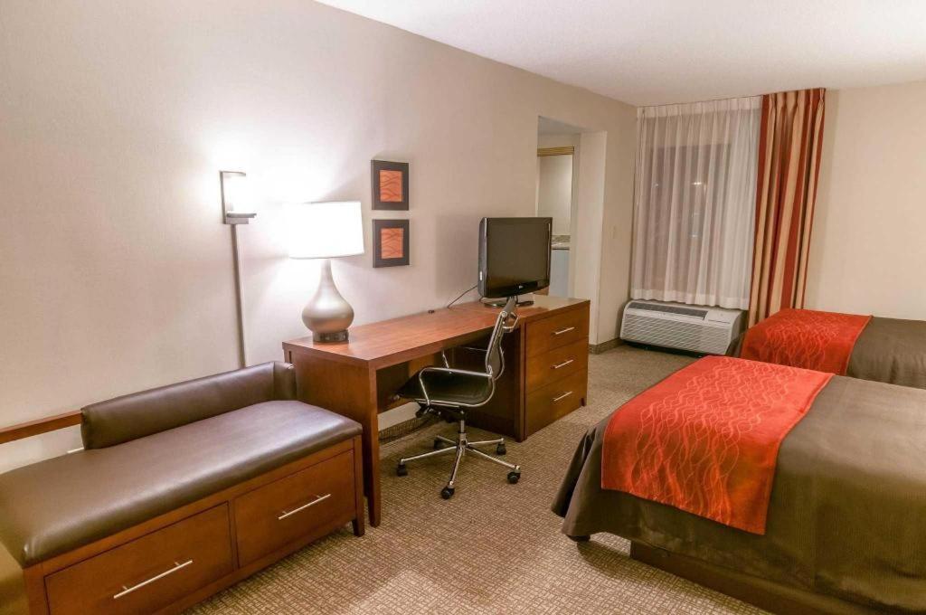 Comfort Inn Quantico Stafford Exteriör bild