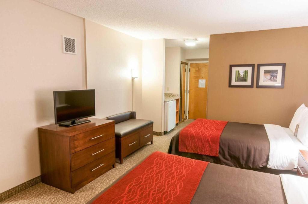 Comfort Inn Quantico Stafford Exteriör bild