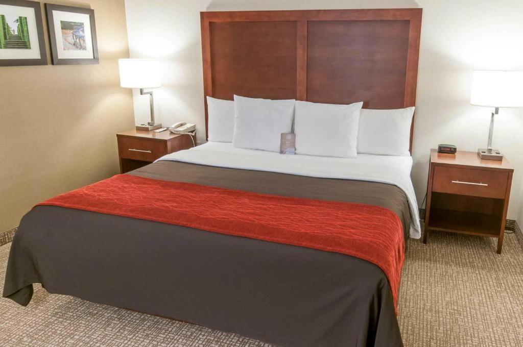Comfort Inn Quantico Stafford Exteriör bild