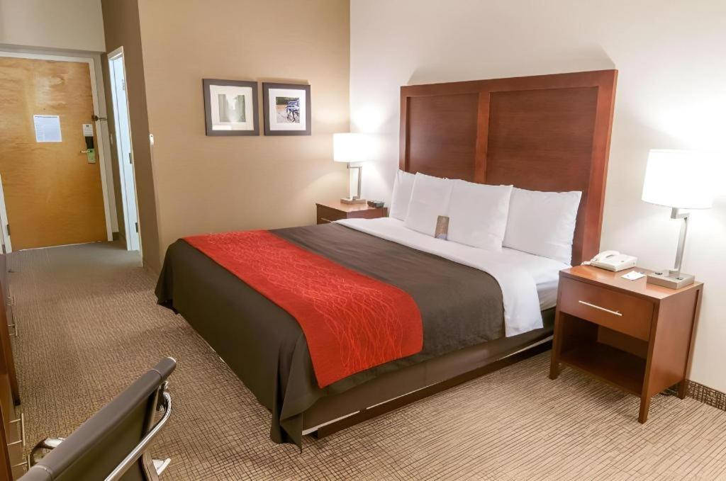 Comfort Inn Quantico Stafford Exteriör bild