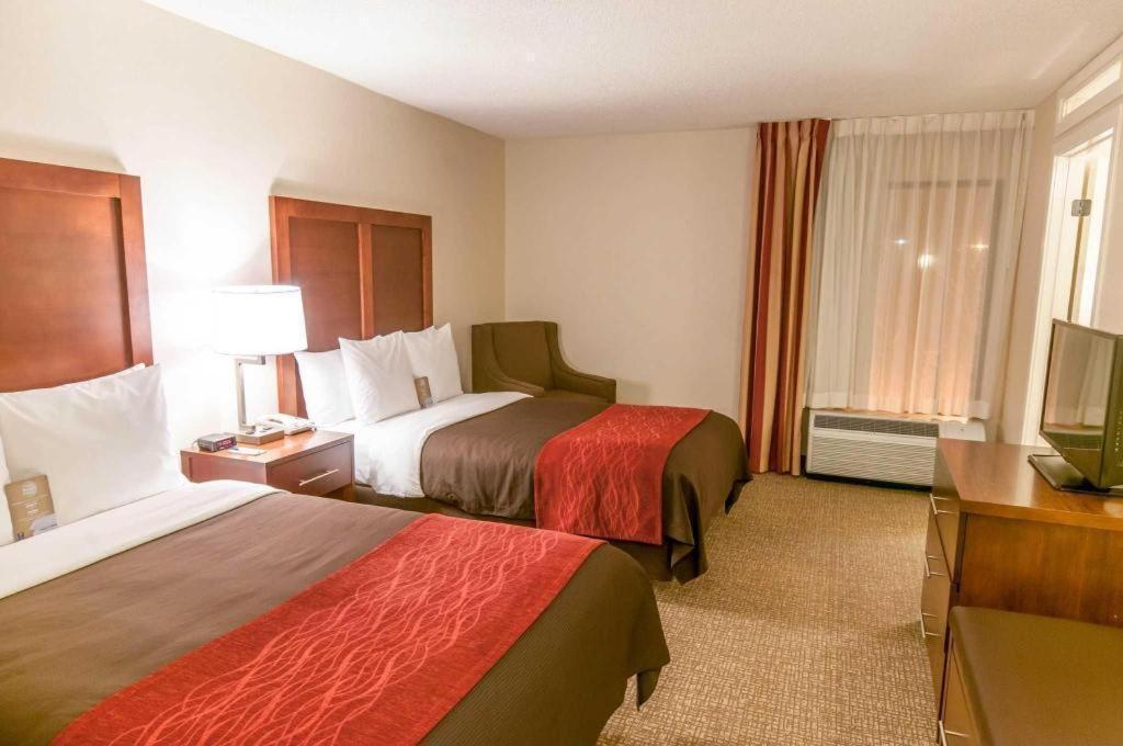 Comfort Inn Quantico Stafford Exteriör bild